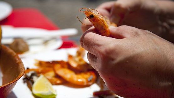 https://www.lecker-laedchen.de/